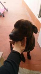 LOLA* LOLA*