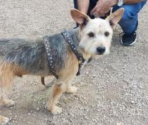 CHICO 5* CHICO 5*