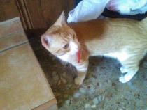 MICO 3* MICO 3*