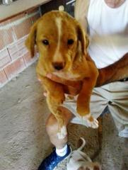 CANELITA* CANELITA*