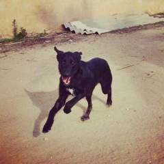 MATY* MATY*