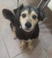TOBBY* TOBBY*