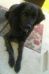Toby* Toby*