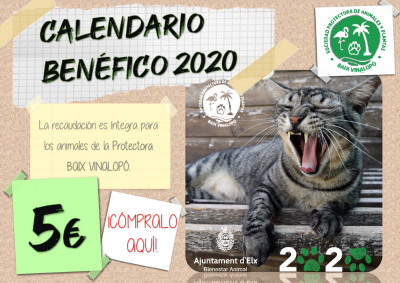 CALENDARIO BENFICO 2020