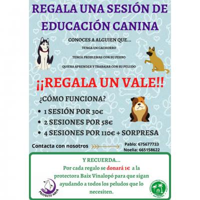 🎁REGALA UNA SESIÓN DE EDUCACIÓN CANINA🎁