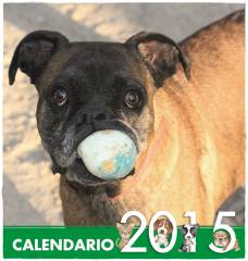 Presentacin Calendario 2015