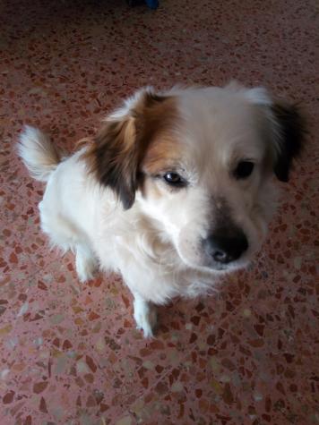 CUCO* CUCO*