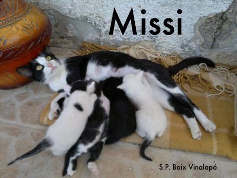 Missi*