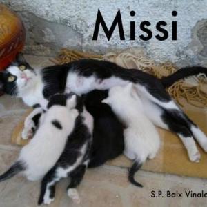 Missi*
