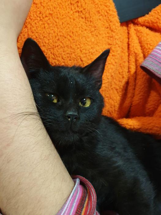 SALEM*