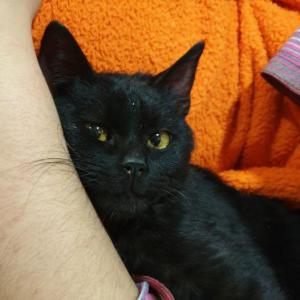 SALEM*