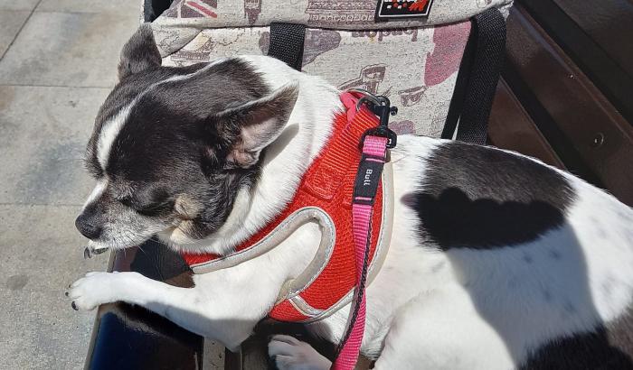 LULA 5* (CASO EXTERNO)