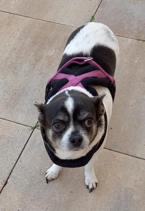 LULA 5* (CASO EXTERNO)