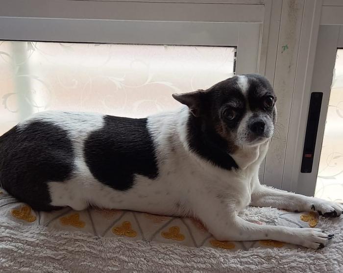 LULA 5* (CASO EXTERNO)