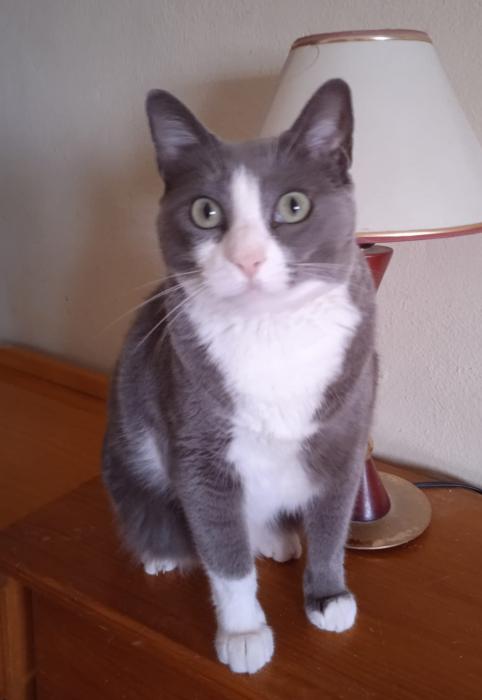 CLOE 3*
