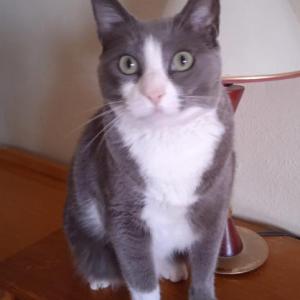 CLOE 3*