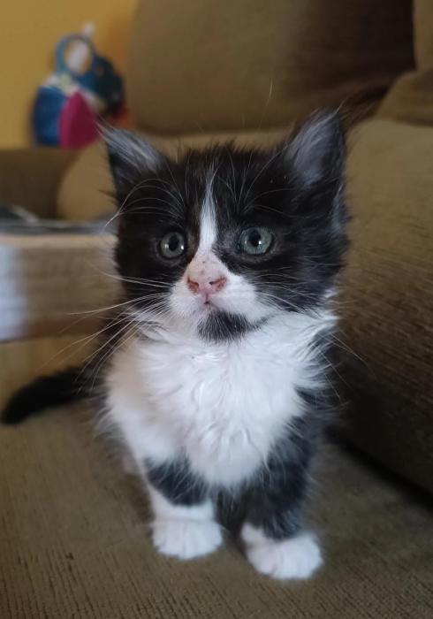 MATILDA