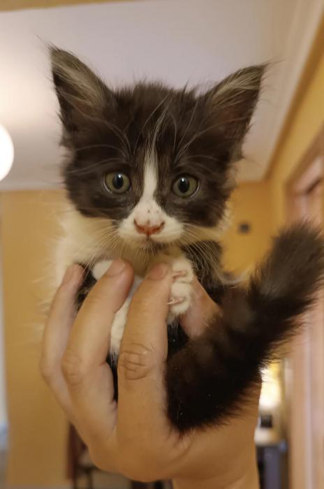 MATILDA