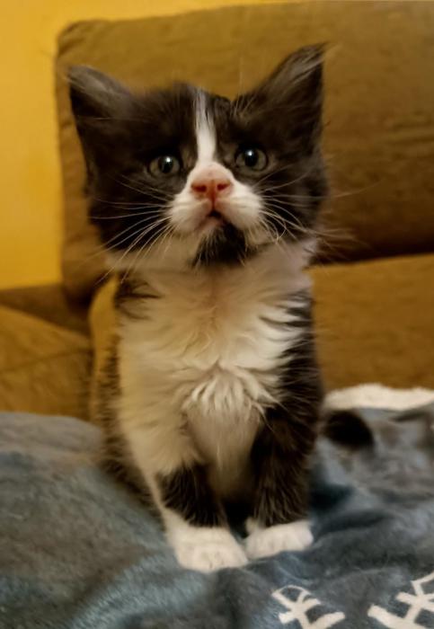 MATILDA
