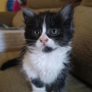 MATILDA
