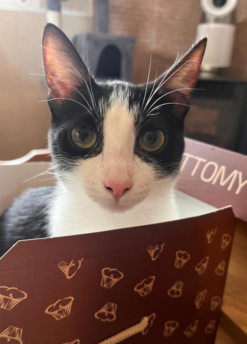 DORA 5* (CASO EXTERNO)