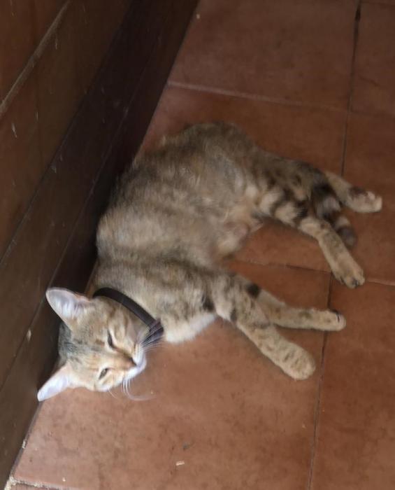 GATI*