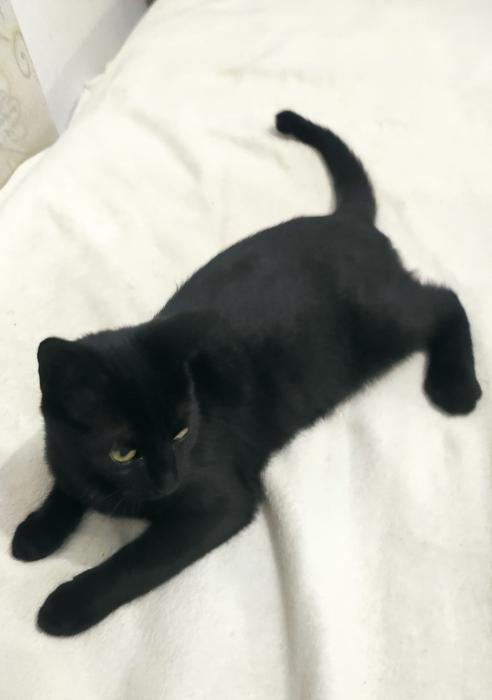 SALEM 2* SALEM 2*