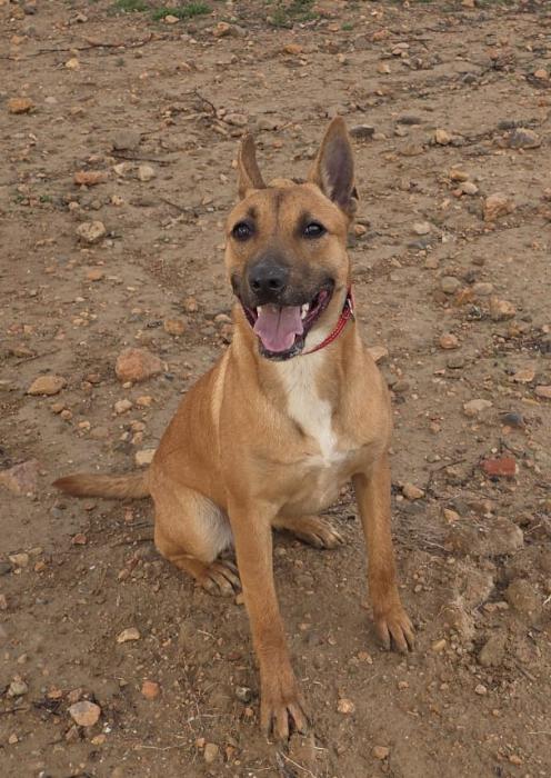 MIXIE*  (CASO EXTERNO)