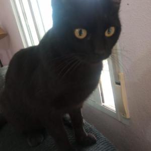 FLOW* (CASO EXTERNO)