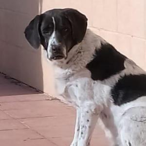 AIKA* (CASO EXTERNO)