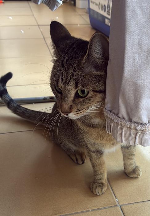 LUCY 2* (CASO EXTERNO)