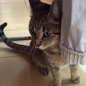 LUCY 2* (CASO EXTERNO)