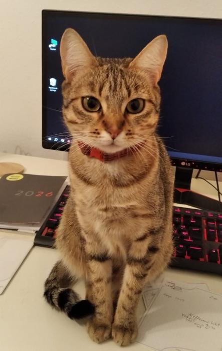 XENA 2* (CASO EXTERNO)