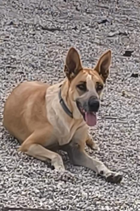 L&Uacute;A 4* (CASO EXTERNO)