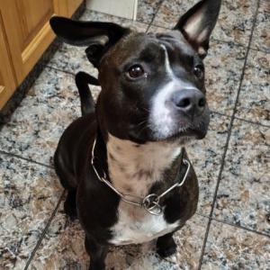 DIABLO 2* (CASO EXTERNO)