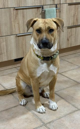 XENA 3* (CASO EXTERNO)