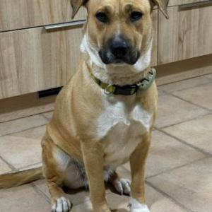 XENA 3* (CASO EXTERNO)