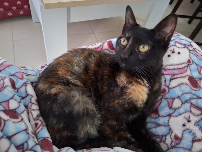 NOITE* (CASO EXTERNO)