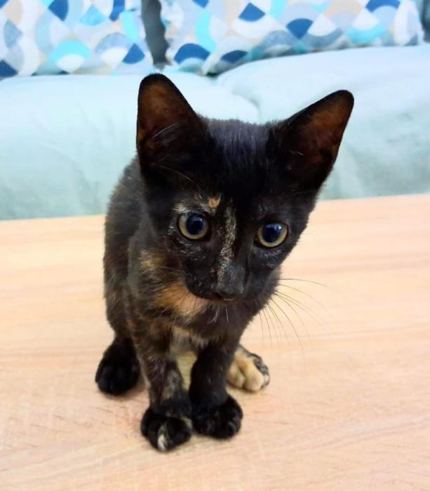 NOITE* (CASO EXTERNO)