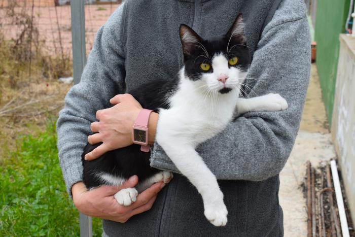 MAJO* (CASO EXTERNO)