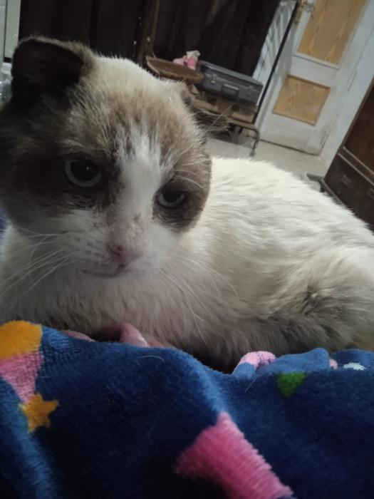 F&Eacute;NIX* (CASO EXTERNO)