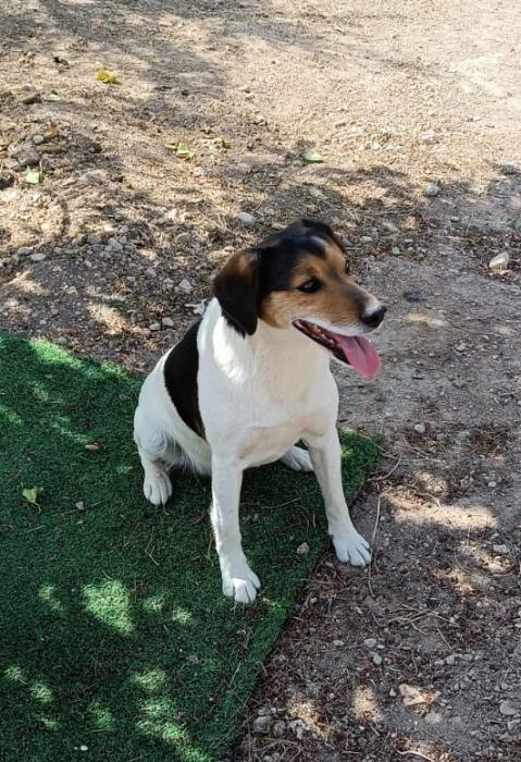 MANCHITAS 3* (EXTERNO)