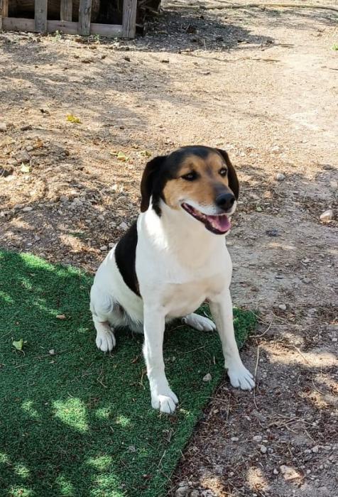 MANCHITAS 3* (EXTERNO)