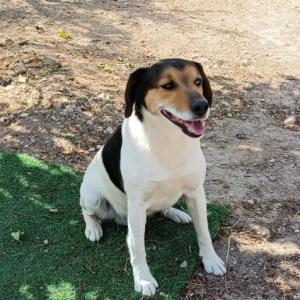 MANCHITAS 3* (EXTERNO)