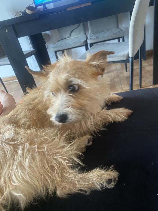 MILO 4* (CASO EXTERNO)