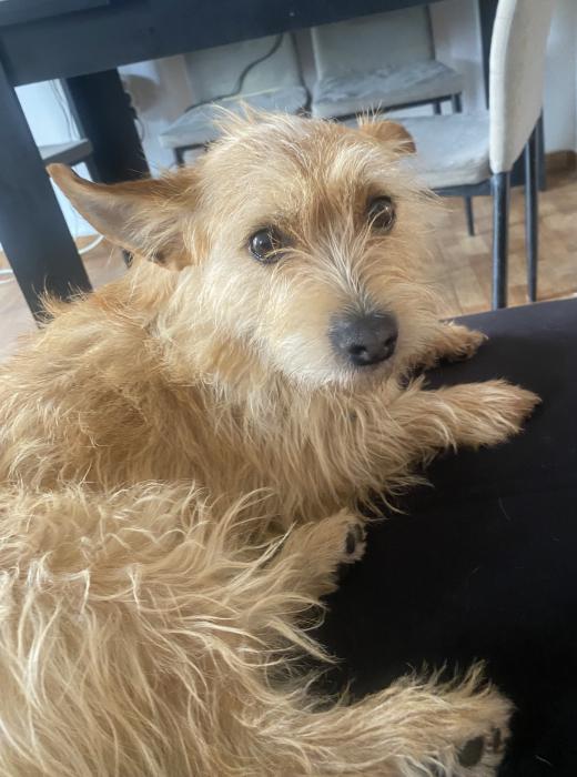MILO 4* (CASO EXTERNO)