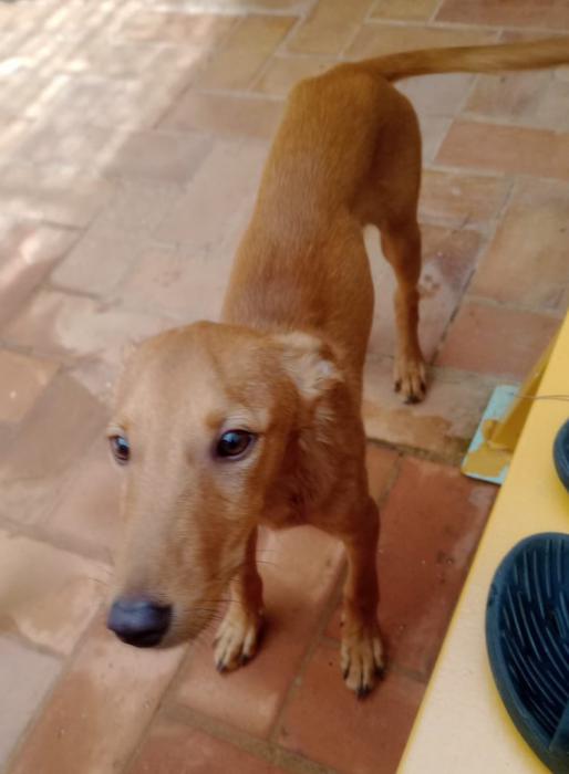 GUAPO 3* (CASO EXTERNO)