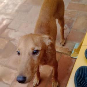 GUAPO 3* (CASO EXTERNO)