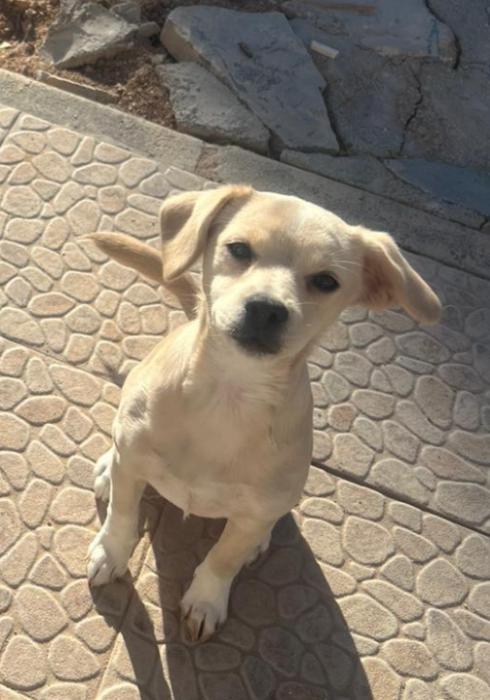 KALA 3* (CASO EXTERNO)