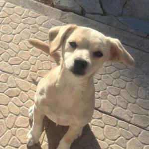 KALA 3* (CASO EXTERNO)